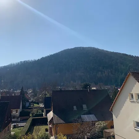 Apartamento Au Pied Des Vignes à Kaysersberg-Vignoble